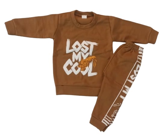 Boys Sweatshirt & Jogger Set | Tiger Print 2 pc Outfit
